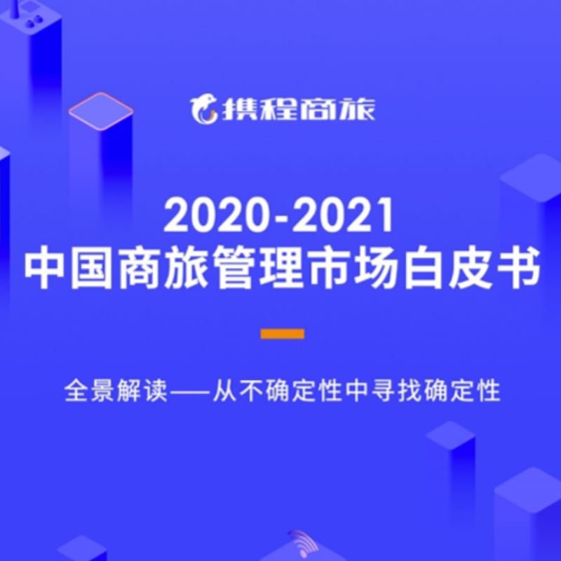 企业报告